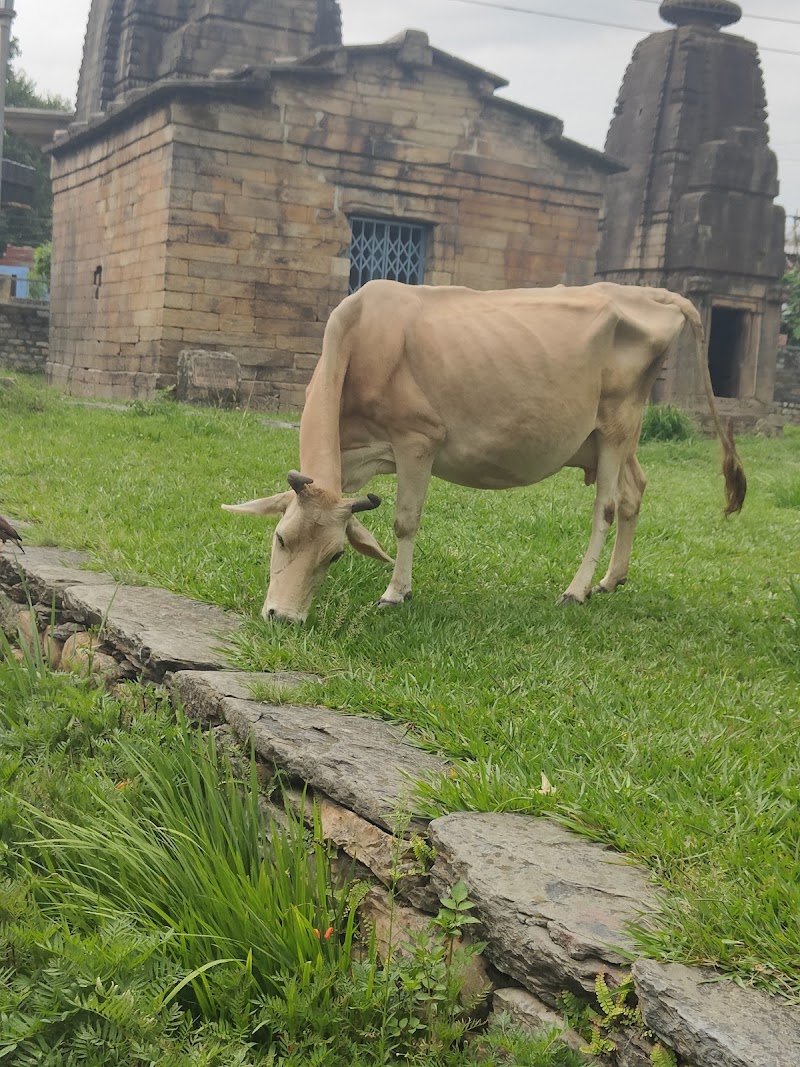 The Baijnath Lake - Bageshwar - The Baijnath Lake - Bageshwar, Almora--Baijnath-Karanprayag Rd, Baijnath, Uttarakhand 263641, India