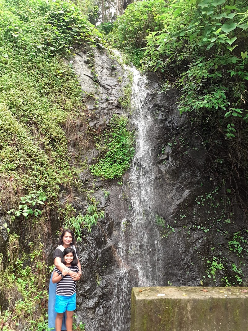 Bison Valley Waterfalls - Bison Valley Waterfalls 333F+3Q8, Bison Vly Rd, Pallivasal, Keralam 685612, India