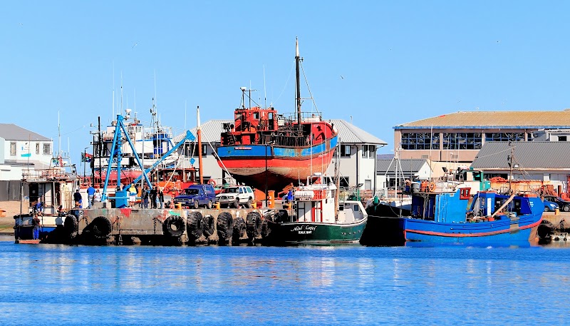 Hout Bay Harbour - Hout Bay Harbour, Cape Town, 7806, South Africa