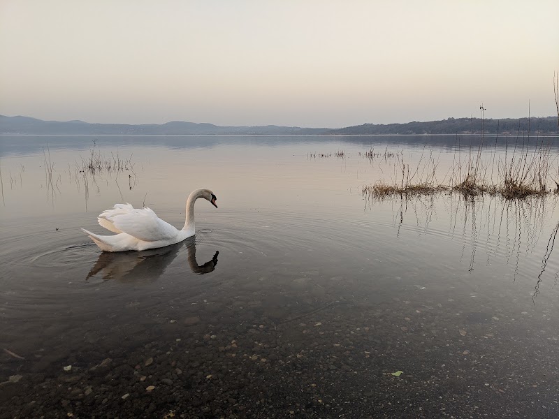 Lake Bracciano - Lake Bracciano, Metropolitan City of Rome Capital, Italy