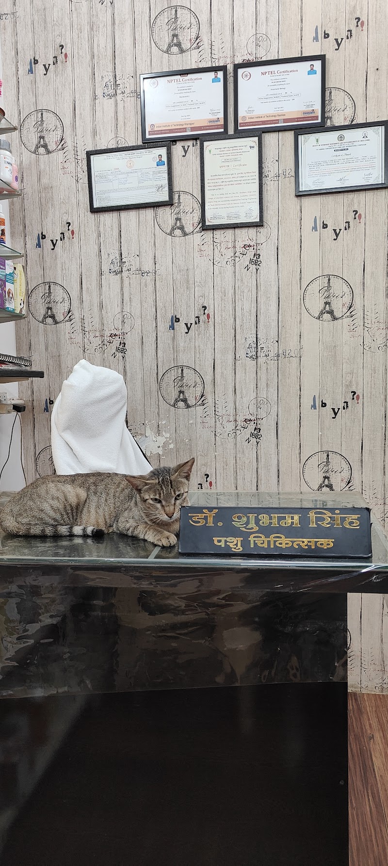 Petsvet animal hospital - Petsvet animal hospital A market, 23 A, Zonal Market, Sector 10, Bhilai, Chhattisgarh 490006, India