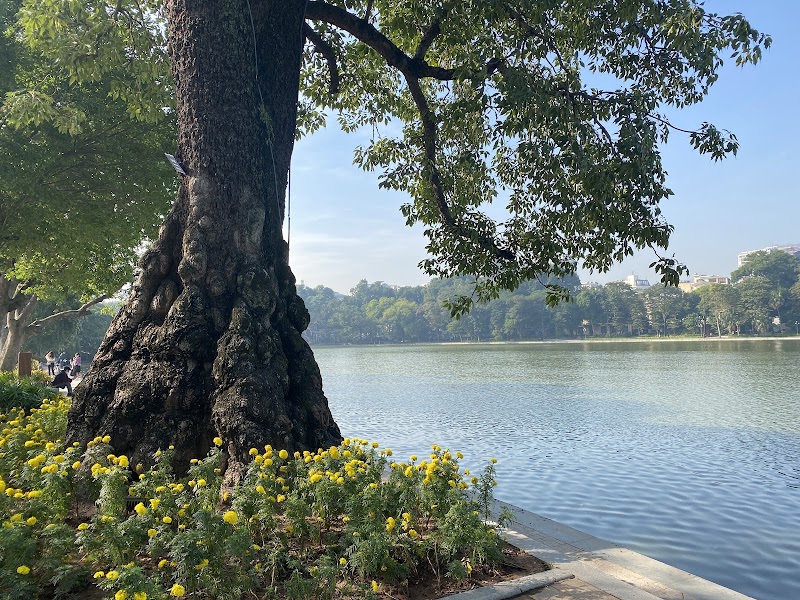 Hoàn Kiếm Lake - Hoàn Kiếm Lake Hoàn Kiếm Lake, Hang Trong, Hoàn Kiếm, Hanoi, Vietnam