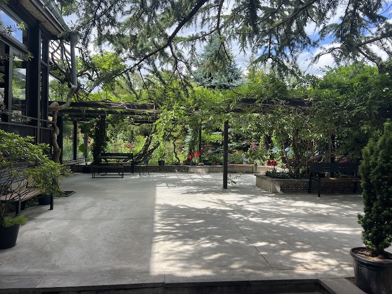Vineria Kakheti - Vineria Kakheti Tokhliauri, Sagaredzho 3805, Georgia