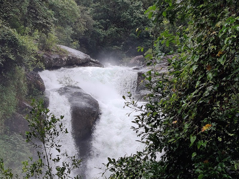 Makkiyad Meenmutty Water Falls - Makkiyad Meenmutty Water Falls Korome- Karimbil Rd, Thondernad, Kanjirangad, Kerala 670731, India