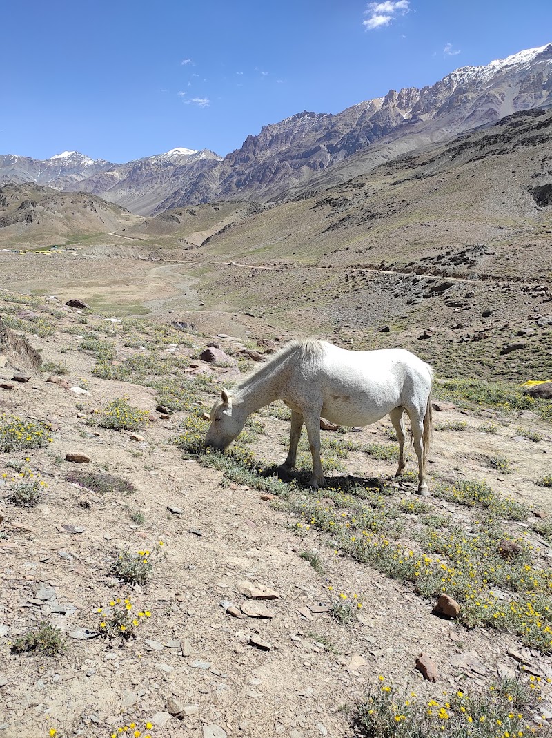 moonlake camps - moonlake camps, Dhar Pallamo, Himachal Pradesh 175140, India