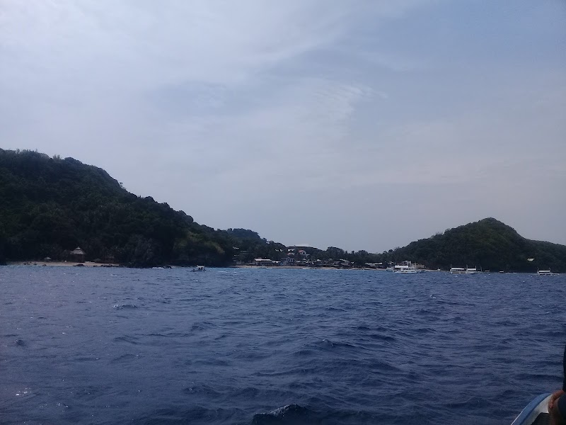 Apo Island Pano Collects, Philippines - Apo Island Pano Collects, Philippines, 37H8+G7R, Dauin, Negros Oriental, Philippines