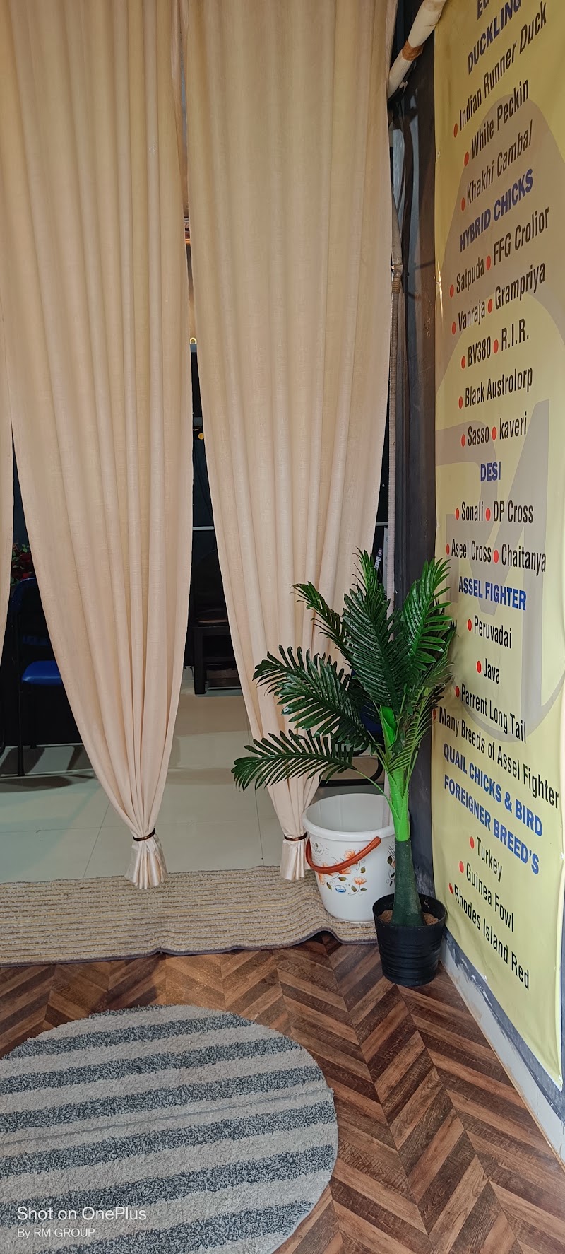 RM GROUP OF SUNRISE ROOSTER FARM - RM GROUP OF SUNRISE ROOSTER FARM, Shop No. 57, A & B, Junwani Rd, Smriti Nagar, Bhilai, Chhattisgarh 490020, India