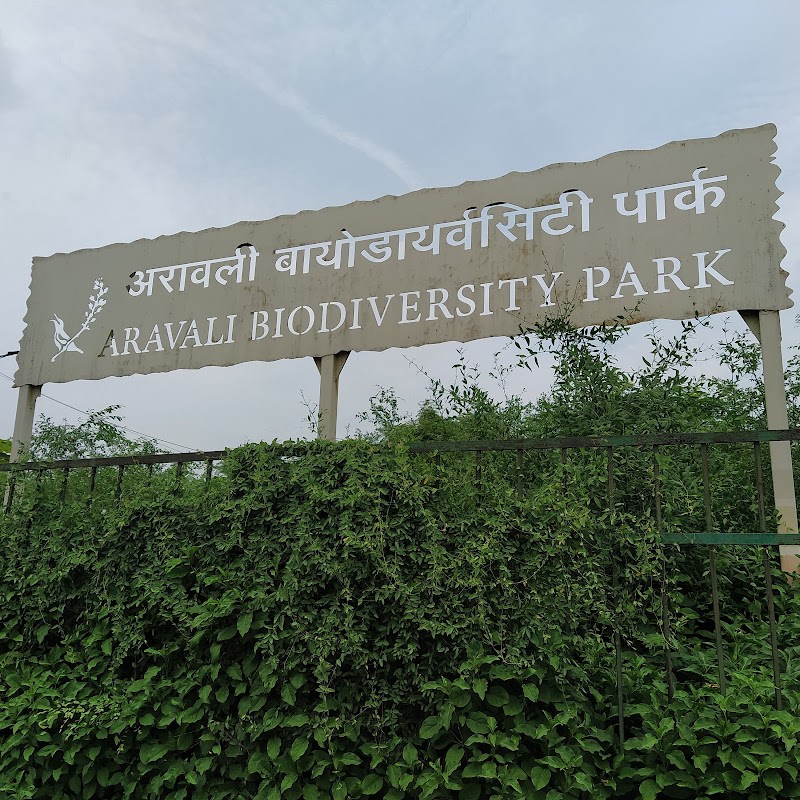 Aravali Biodiversity Park - Aravali Biodiversity Park F4J6+PJ4, Acharya Shree Tulsi Marg, DLF Phase 3, Sector 24, Gurugram, Haryana 122002, India