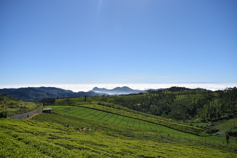 Ooty mountain view - Ooty mountain view 9PPM+QWJ, Coonoor Rd, Pudu Line, Ketti, Tamil Nadu 643215, India