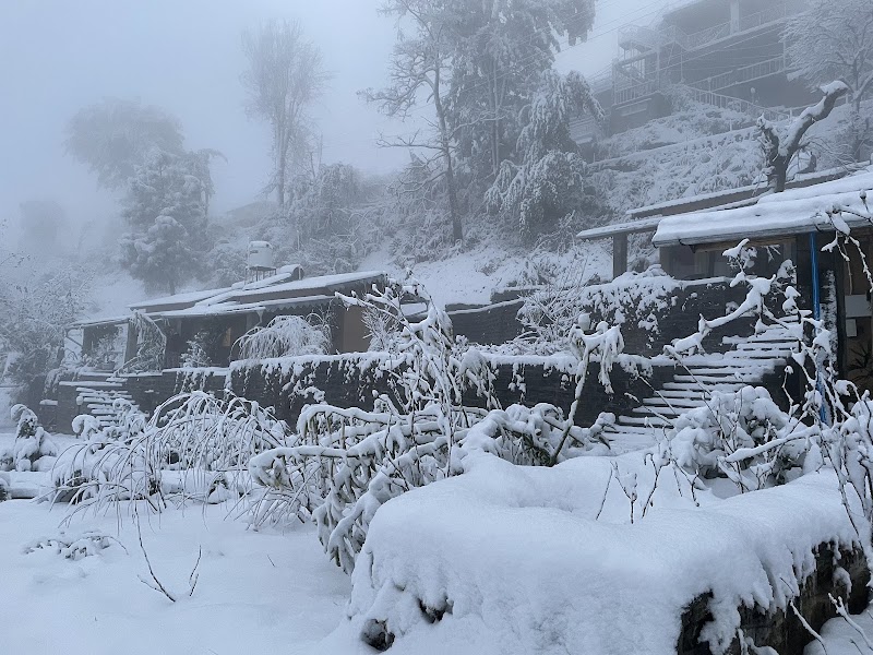 Mohan's Mud Houses - Mohan's Mud Houses, Binsar Road, Kasar Devi Temple, PO, Dinapani, Mat, Uttarakhand 263601, India