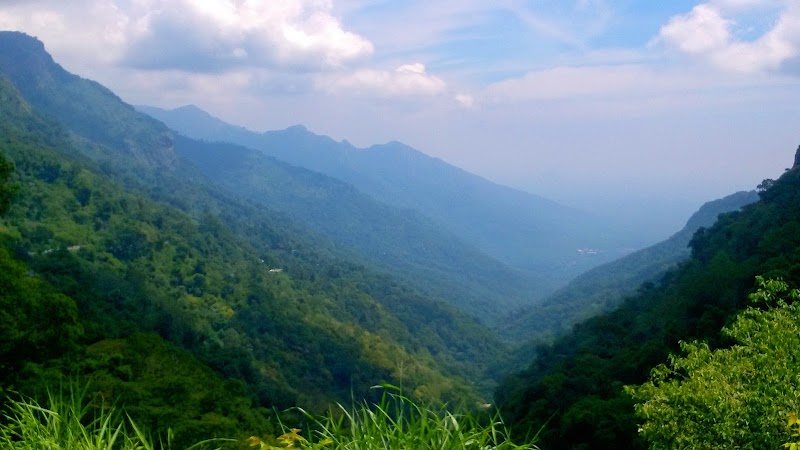 Tea garden - Tea garden Dolphin's Nose Rd, Alwarpet, Burliyar, Coonoor, Tamil Nadu 643101, India