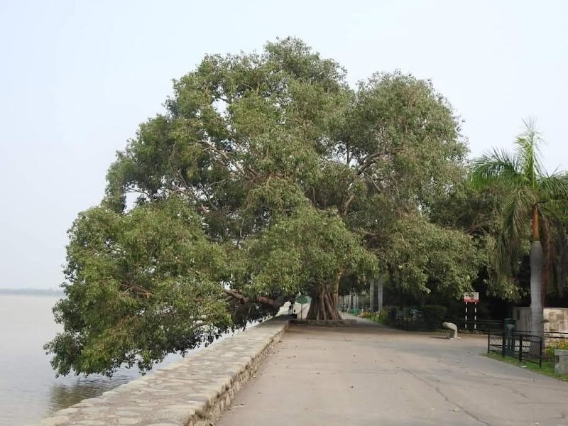 Sukhna Lake Park - Sukhna Lake Park PRP9+CMP, Sector 6, Chandigarh, 160001, India