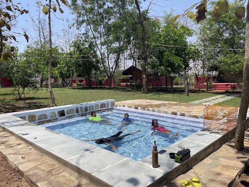 Bear Valley Camp - Bear Valley Camp, 602 Jhinnadham Banahari, Road, Panna, Jhinna, Madhya Pradesh 488220, India