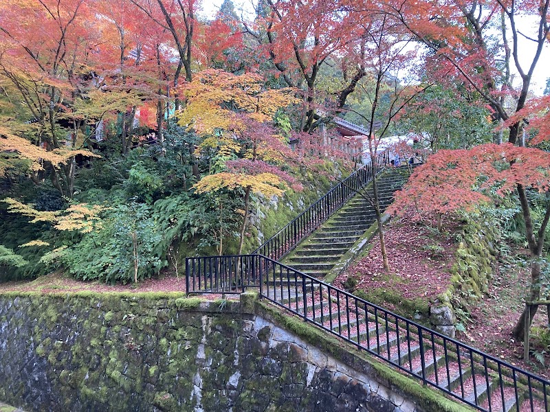 Eikandō Temple - Eikandō Temple, 48 Eikandōchō, Sakyo Ward, Kyoto, 606-8445, Japan