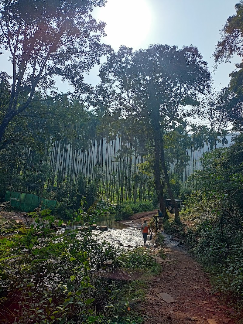 Soormane Falls - Soormane Falls, Kalasa, Karnataka 577124, India