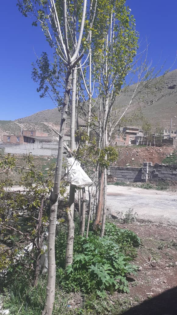 روستای موییل - روستای موییل, Moeil, روستای موئیل، روستای موئیل، استان اردبیل،، 7PX7+52W،، Iran