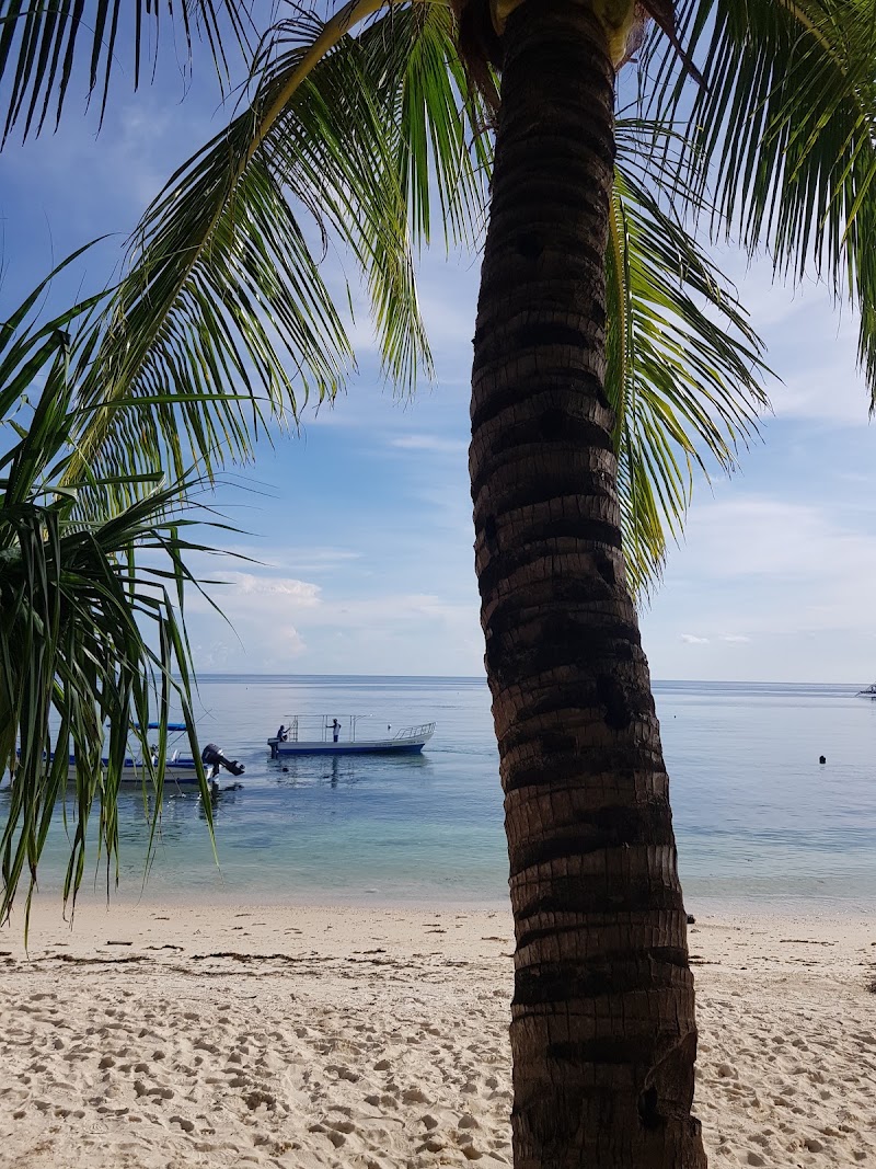 Tubod Marine Sanctuary - Tubod Marine Sanctuary, Philippines