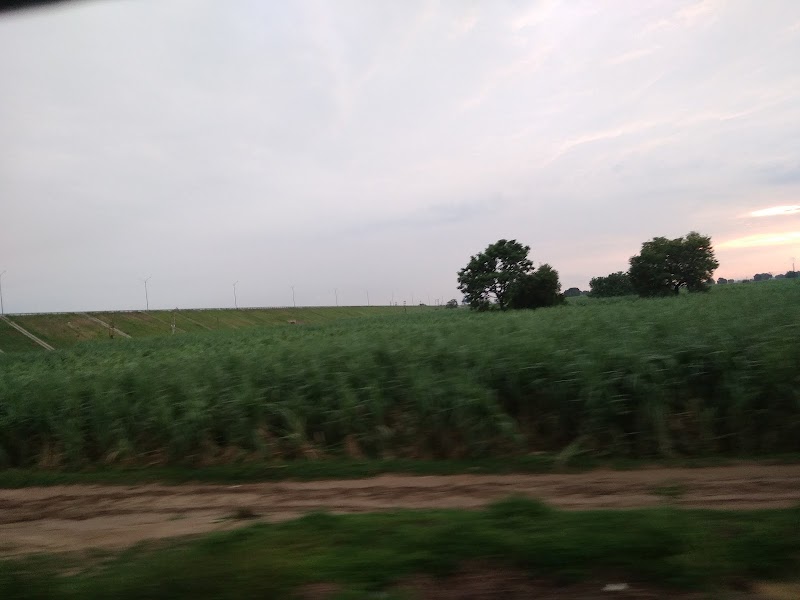 Railway Under Bridge - Railway Under Bridge, Uttar Pradesh 250101, India