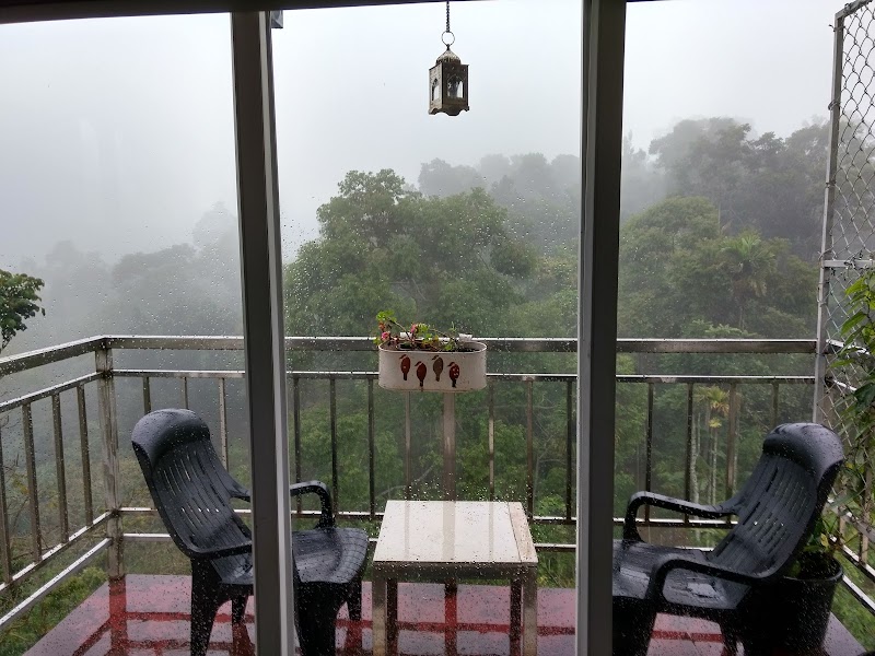 Gruenberg Tea Plantation Haus - Gruenberg Tea Plantation Haus Power house Road, Dobipalam, Chithirapuram, Kerala 685565, India