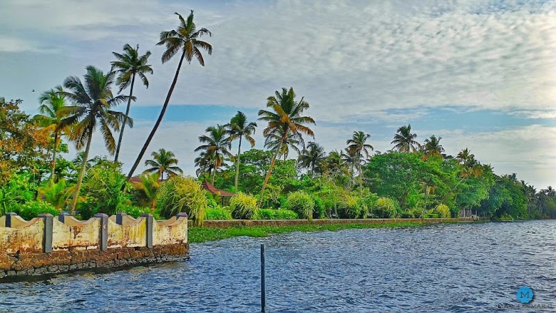 Punnamada Finishing Point Road - Punnamada Finishing Point Road, Alappuzha, Kerala, India