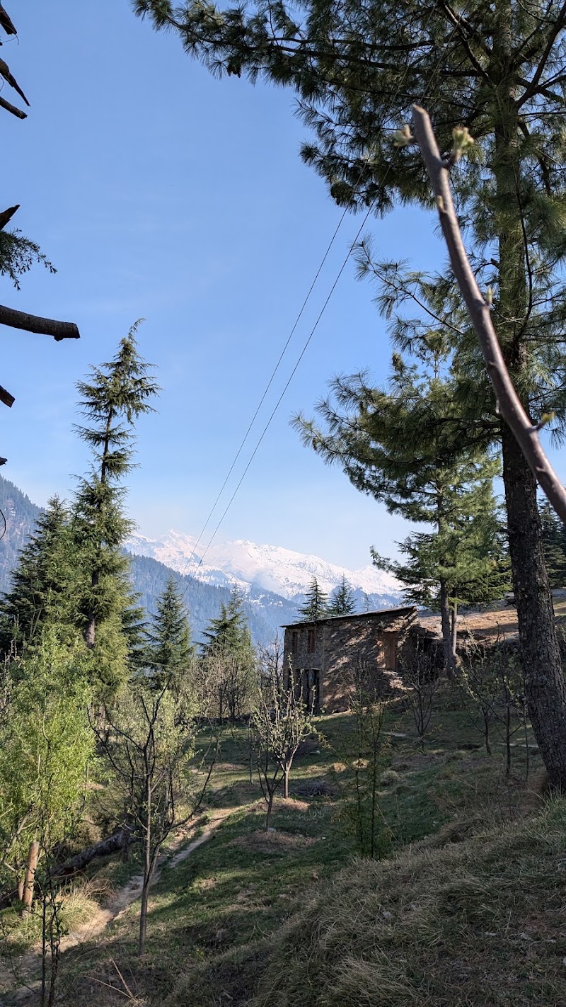 The village stay& cafe - The village stay& cafe, Old Manali, Manali, Himachal Pradesh 175131, India