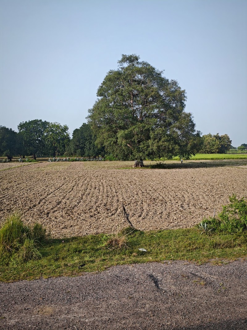 Chitrakoot Forest Department - Chitrakoot Forest Department, 6W8F+4JW, Bhauri, Jagadishganj, Chitrakoot Dham, Uttar Pradesh 210205, India