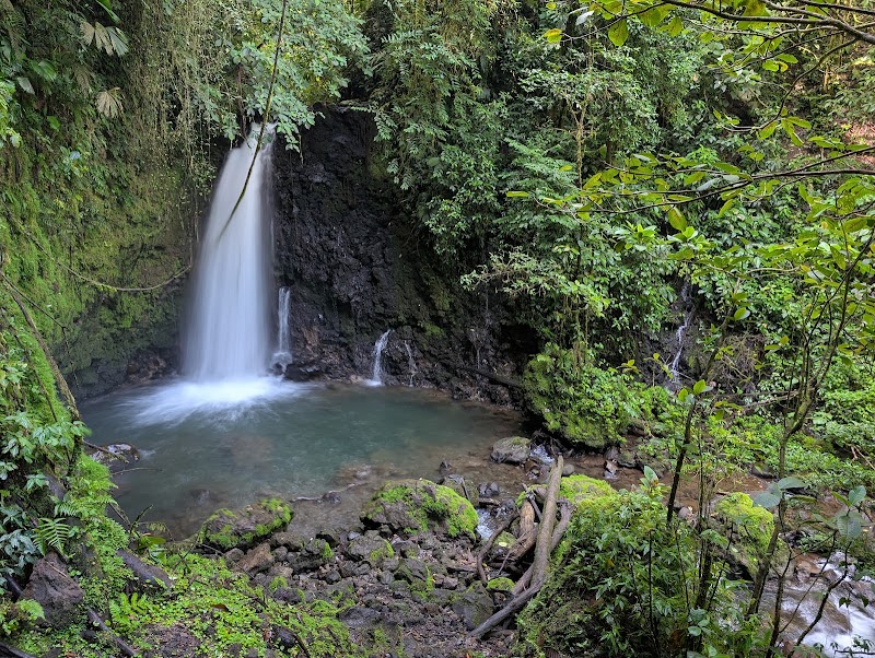 Parque Nacional Volcán Arenal - Parque Nacional Volcán Arenal, F76C+FPQ, Alajuela Province, El Castillo, La Fortuna, Costa Rica