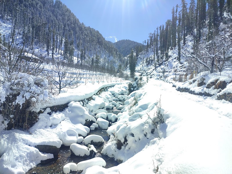 Janjehli Camping - Janjehli Camping Vill. Ruhara P.O Janjehli Teh. Thunag Distt. Mandi (H.P), Shikari Temple Rd, Riara, Dhalyar, Himachal Pradesh 175047, India
