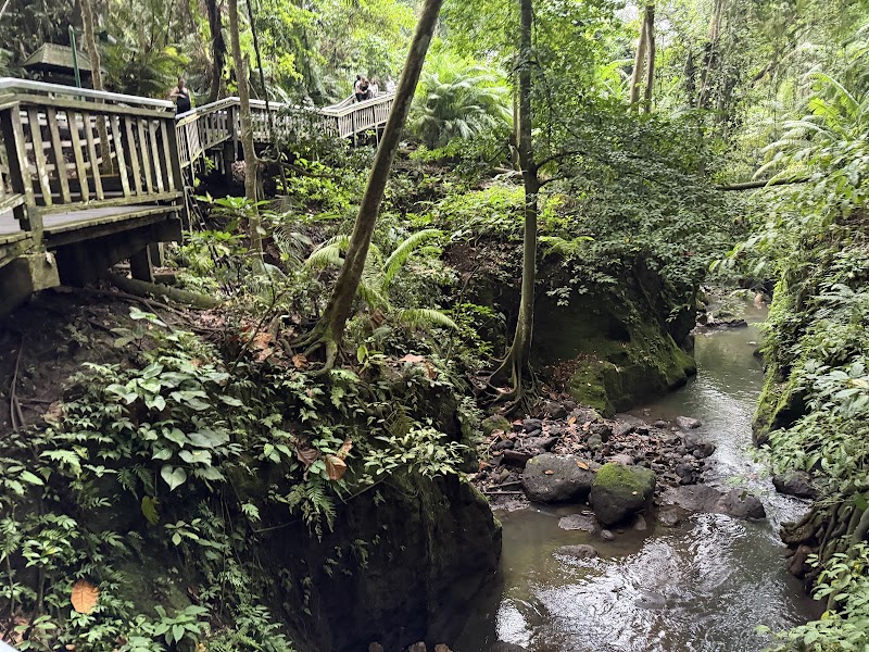 Sacred Monkey Forest Sanctuary - Sacred Monkey Forest Sanctuary Jl. Monkey Forest, Ubud, Kecamatan Ubud, Kabupaten Gianyar, Bali 80571, Indonesia