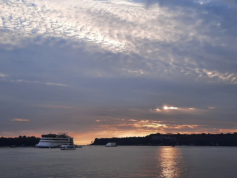 Mandovi River
