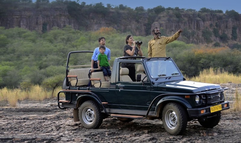 Sariska Safari Booking - Sariska Safari Booking Neare Sariska tiger reserve booking office, Ganeshpura With Rundh Kali Ghati, Rajasthan 301022, India