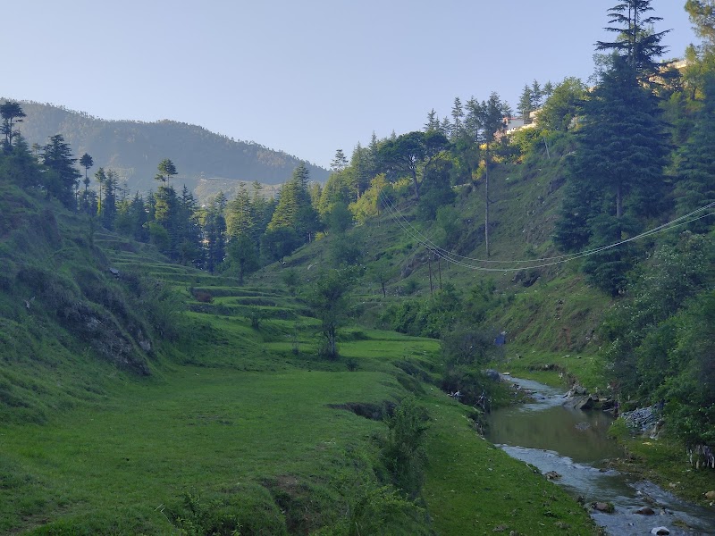 Lohaghat - Lohaghat, Uttarakhand 262524, India