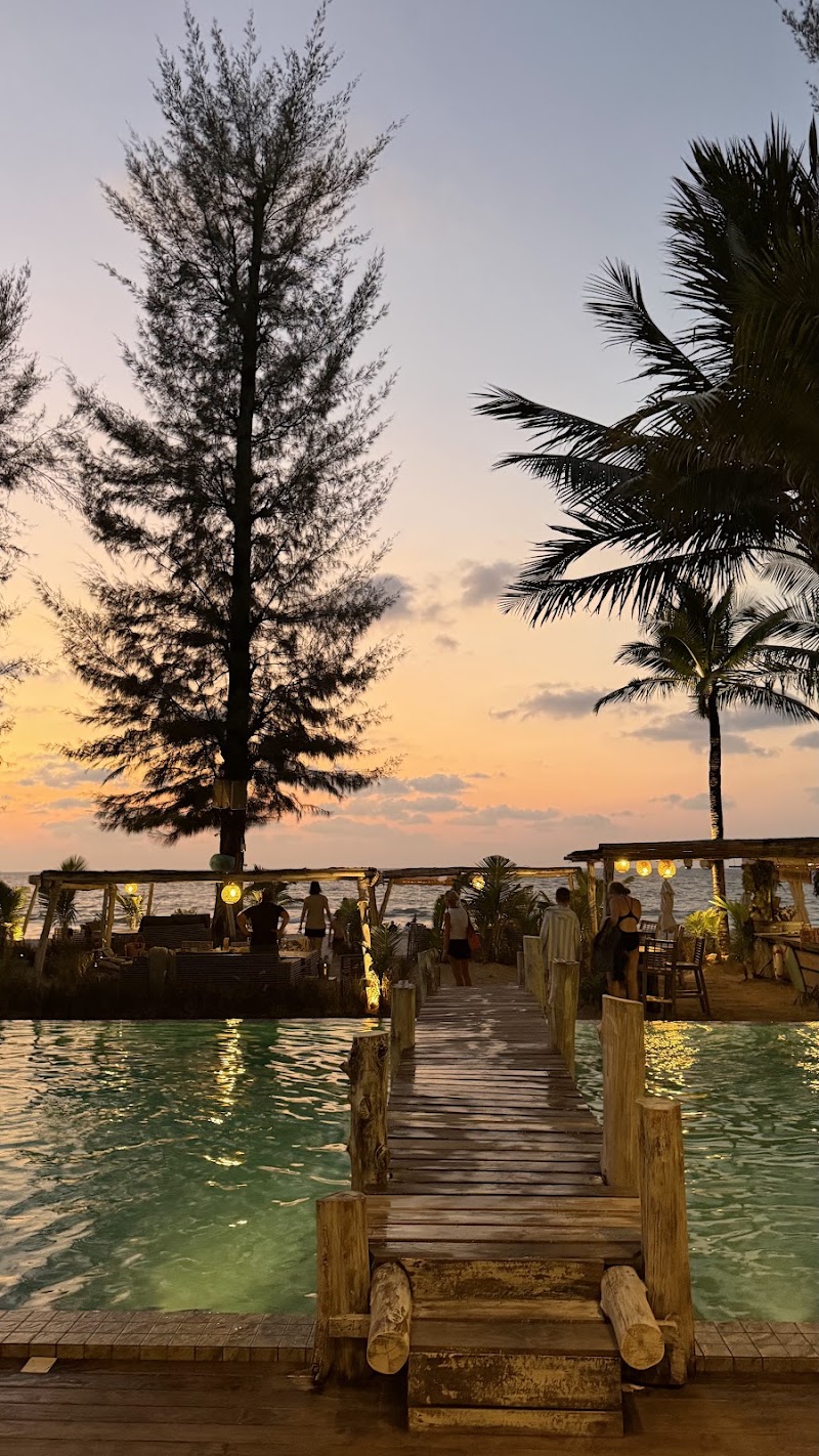 The Lazy Coconut - The Lazy Coconut, 202/88, Bang Tao Beach, ตำบลเชิงทะเล อำเภอถลาง ภูเก็ต 83110, Thailand