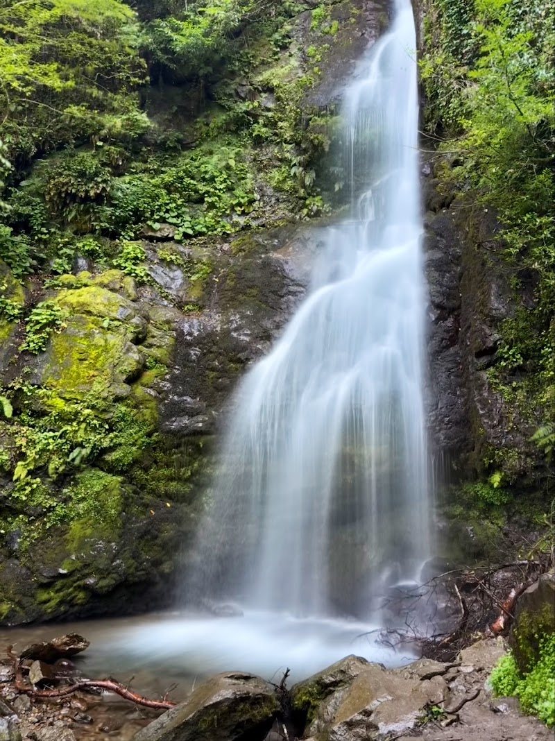 Mtirala National Park - Mtirala National Park, MV6H+M57, Chakvistavi, Georgia