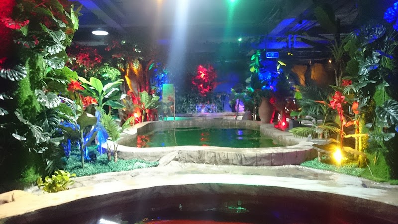 Manzhouli International Hotel - Manzhouli International Hotel Manzhouli, Hulunbuir, China, 021411