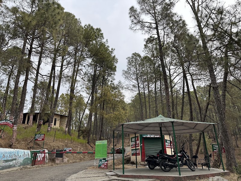 Hippie Hill - Hippie Hill JMR7+2HM, Mat, Uttarakhand 263601, India