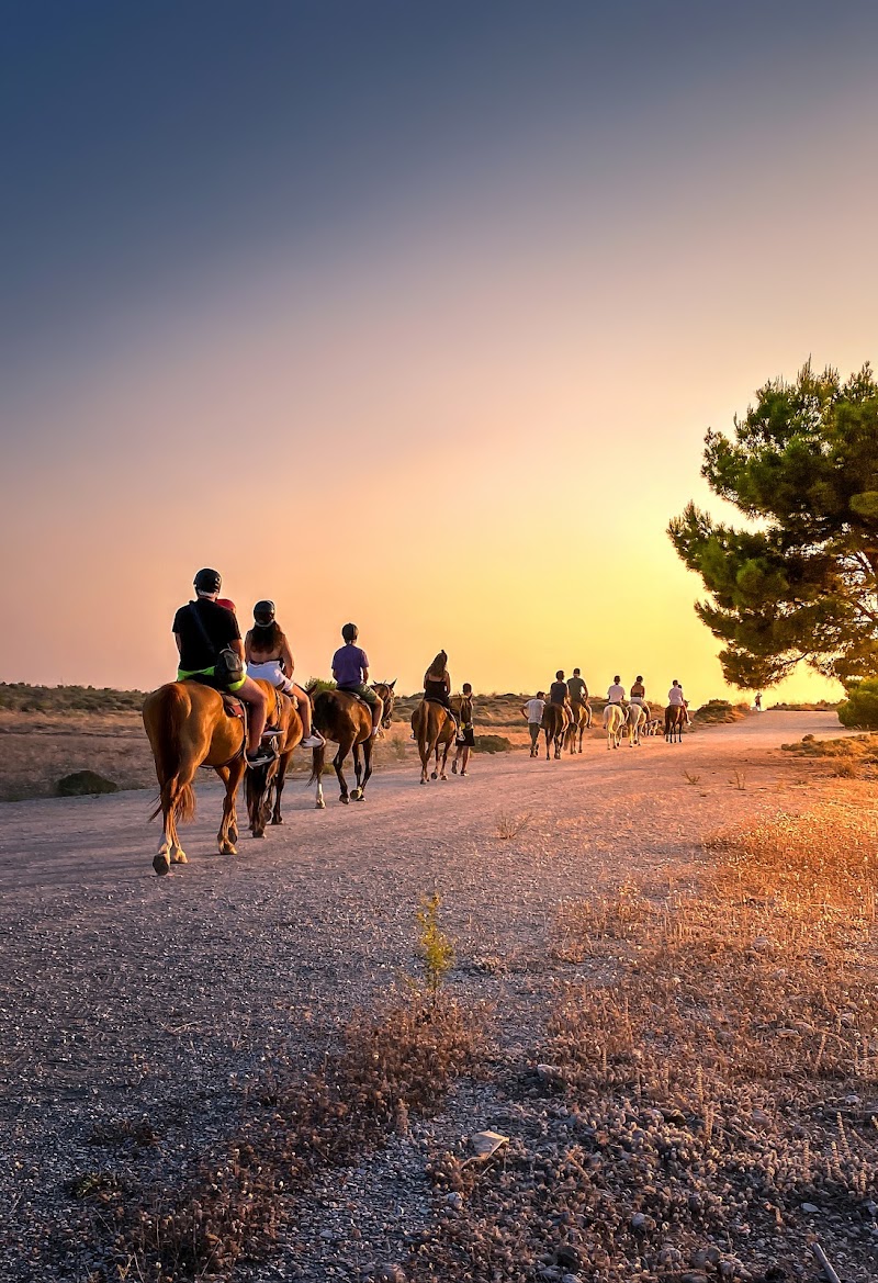 Elea Horse Riding - Elea Horse Riding, EO Pirgou Kiparissias, ΚΥΠΑΡΙΣΣΙΑ 245 00, Greece