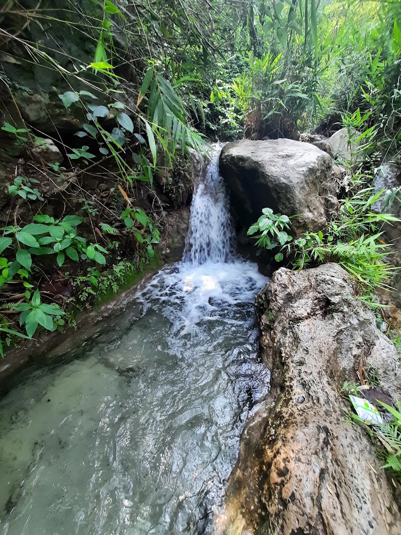 Patna Waterfall - Patna Waterfall 4978+V22, Patna, Uttarakhand 249304, India