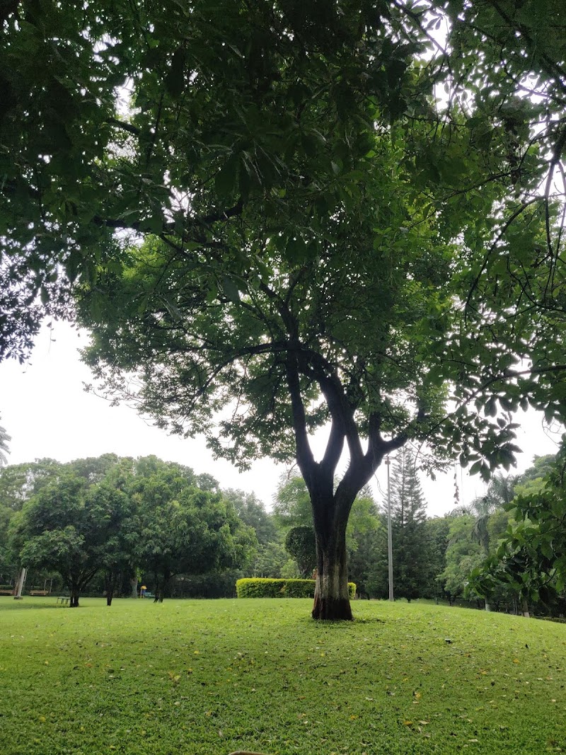 Jogger's Park - Jogger's Park, North Ave, Nilanjali Society, Kalyani Nagar, Pune, Maharashtra 411006, India