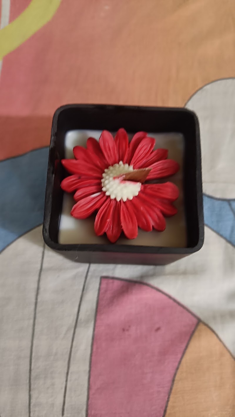 Candle Delight ( Dinkar's Art Studio) - Candle Delight ( Dinkar's Art Studio) zone-03 road no -08, C-1, Adarsh Nagar, Durg, Chhattisgarh 491001, India