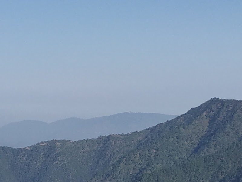 Tagore Top