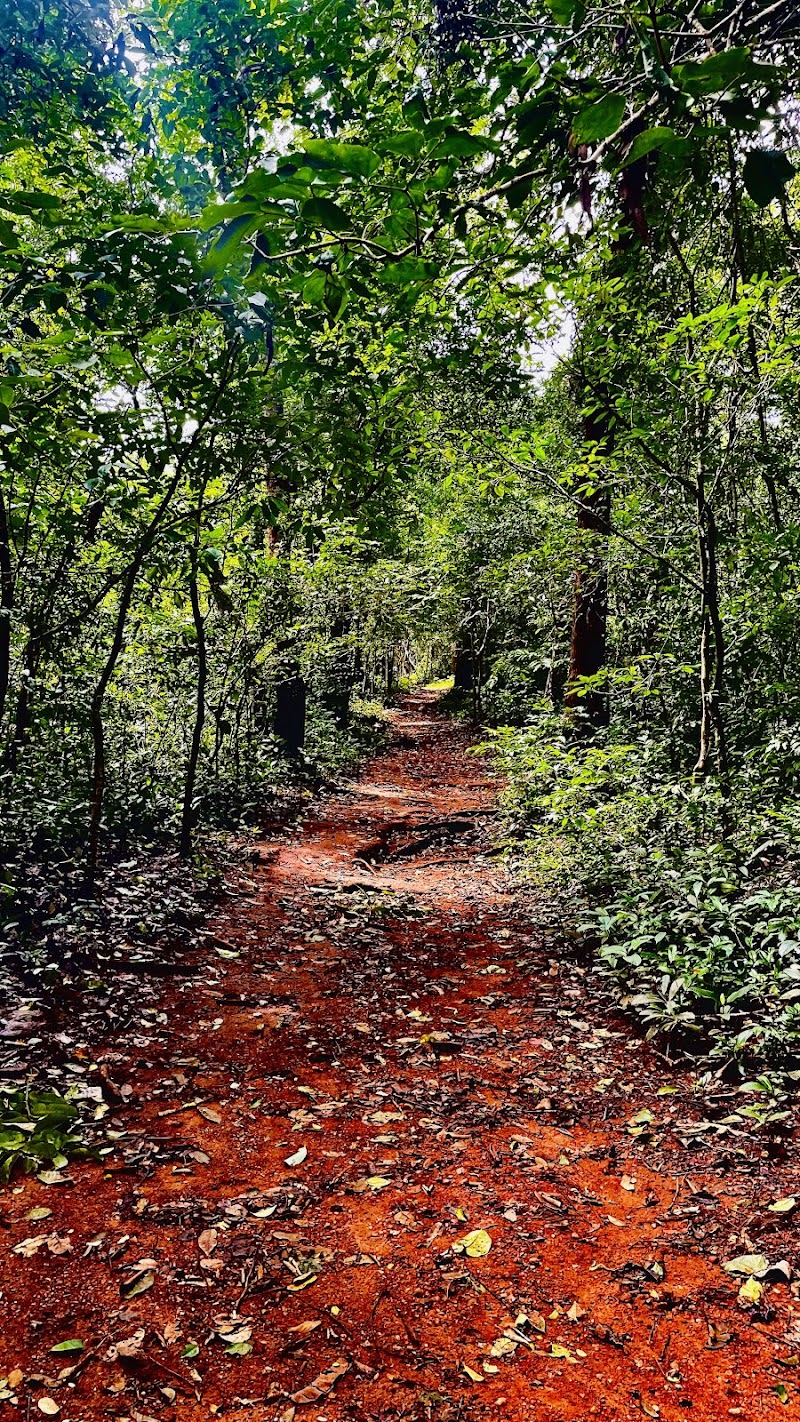 Janaki Forest - Janaki Forest, JQGV+79Q, Maruthonkara, Kerala 673513, India