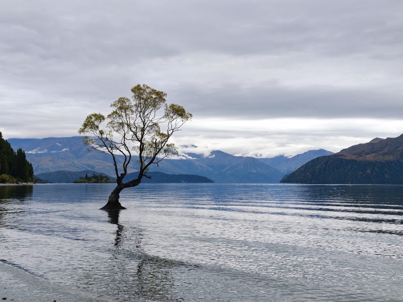 Lake Wānaka Beach