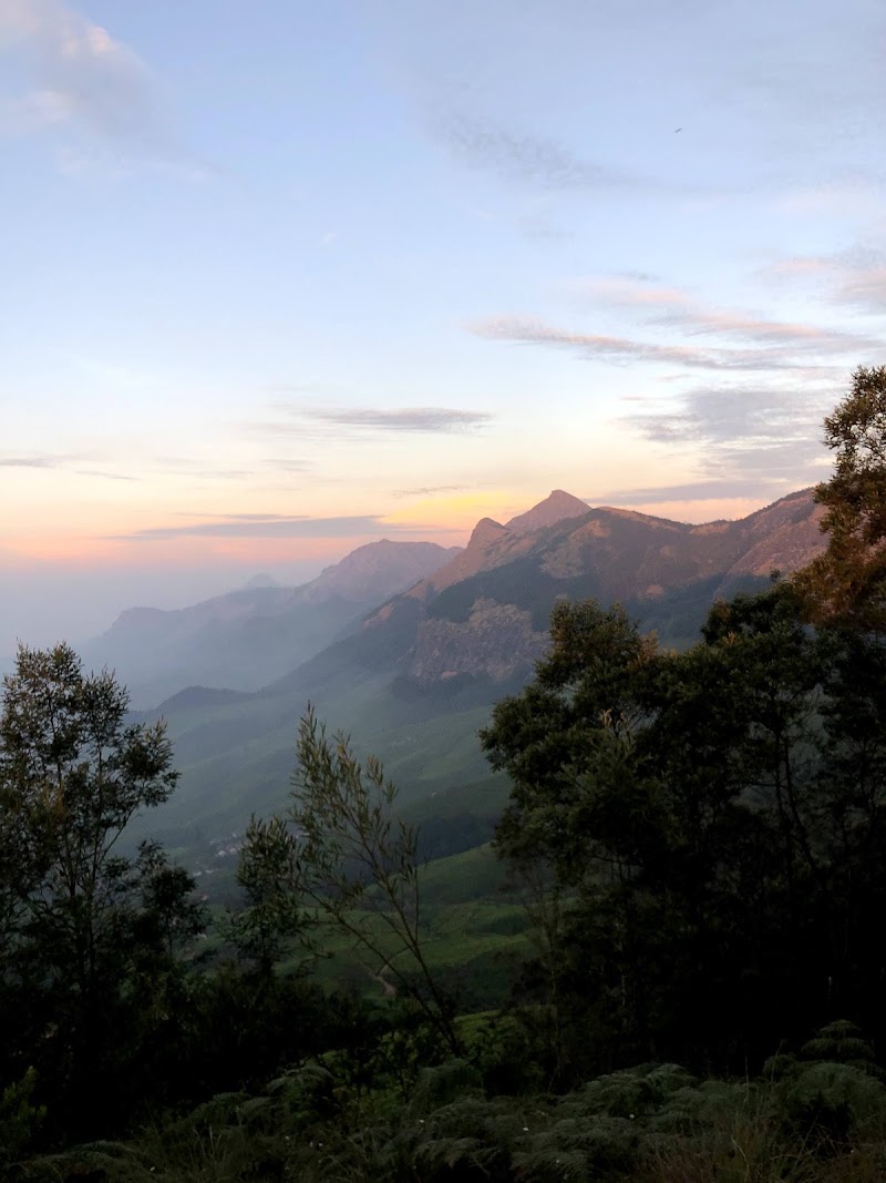 Munnar - Top Station Highway - Munnar - Top Station Highway, Munnar - Top Station Hwy, Kerala, India