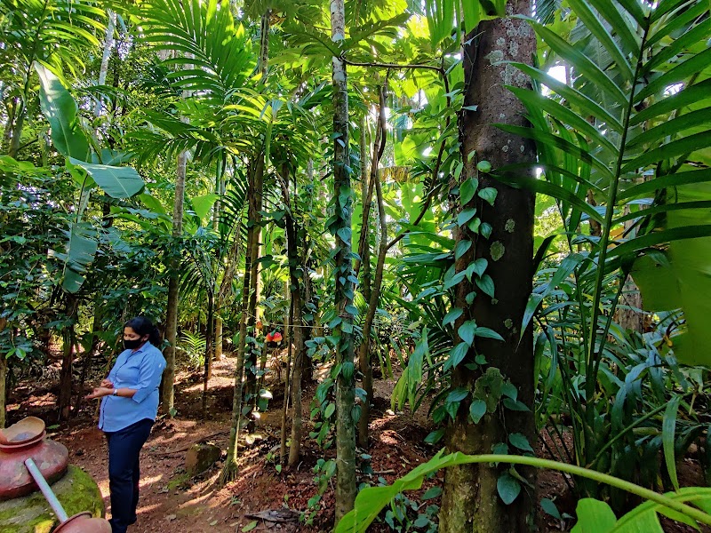 Tropical Spice Plantation - Tropical Spice Plantation H.No. A-14, Arla Bazar, Ponda, Keri, Goa 403404, India