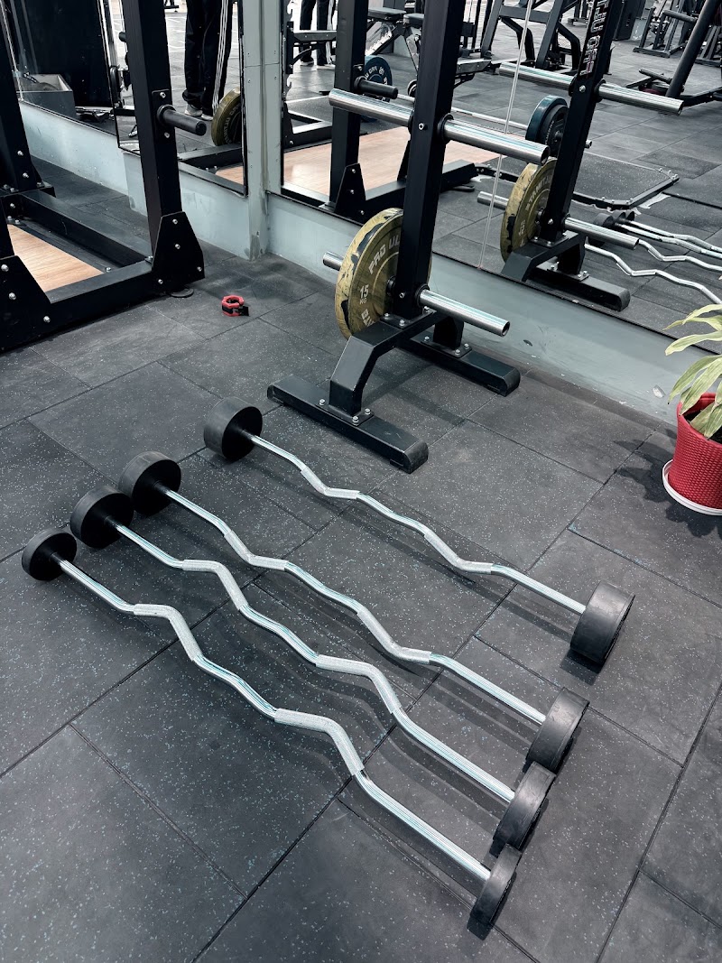 Pro Ultimate Gyms - Sector 62 Gurugram - Pro Ultimate Gyms - Sector 62 Gurugram 3rd Floor, 1, CRPF Rd, Sector 62, Gurugram, Haryana 122098, India
