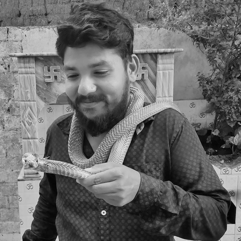 Megha computer - Megha computer, 6JH3+4J6 गवर्मेंट स्कूल के सामने, चंगोराभाठा बाज़ार चौक, पानी टंकी के पास, Changurabhata, Raipur, Chhattisgarh 492013, India