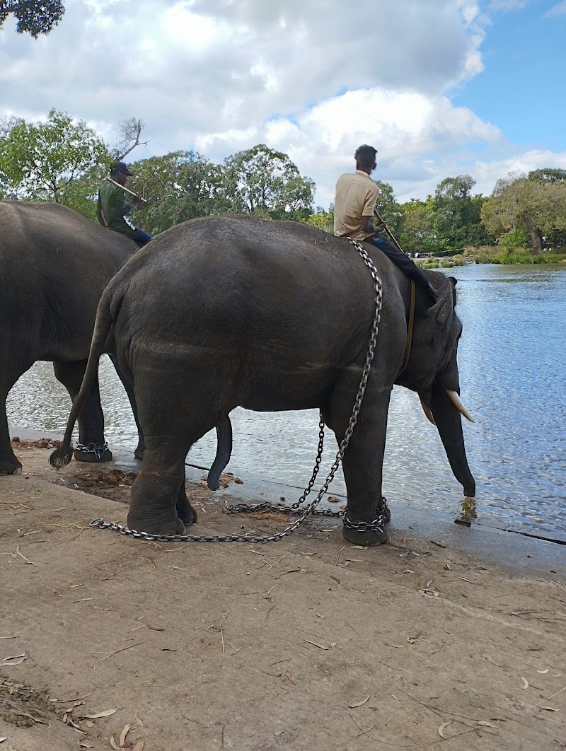 Booking Office of Coorg Dubare Elephant camp - Booking Office of Coorg Dubare Elephant camp Tourism House, 2nd Floor, Papanna Lane, No.8, St Mark's Rd, Shanthala Nagar, Ashok Nagar, Bengaluru, Karnataka 560001, India