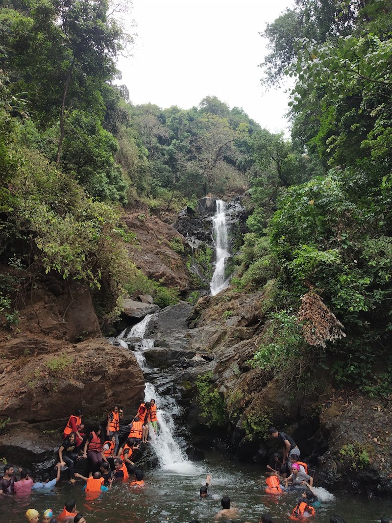 Vibhuthi Falls - Vibhuthi Falls Vibhuthi Falls, Achave, Karnataka 581344