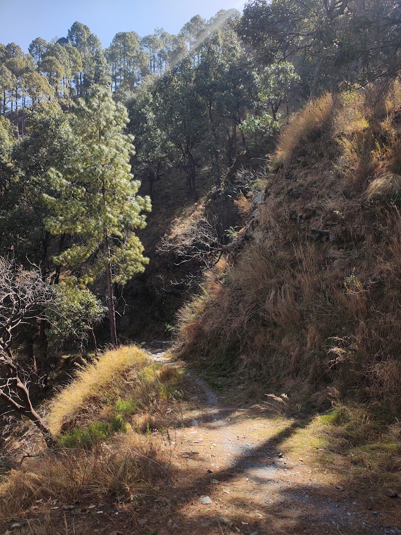 Dunikhal Waterfall - Dunikhal Waterfall CF5C+QR, Naina Range, Uttarakhand 263132, India